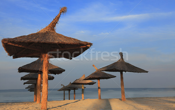 Tropical beach Stock photo © RazvanPhotography