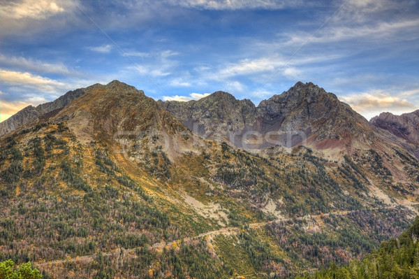 Road in the Mountains Stock photo © RazvanPhotography