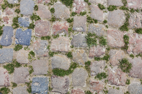 Cobbelstone Road- Detail Stock photo © RazvanPhotography