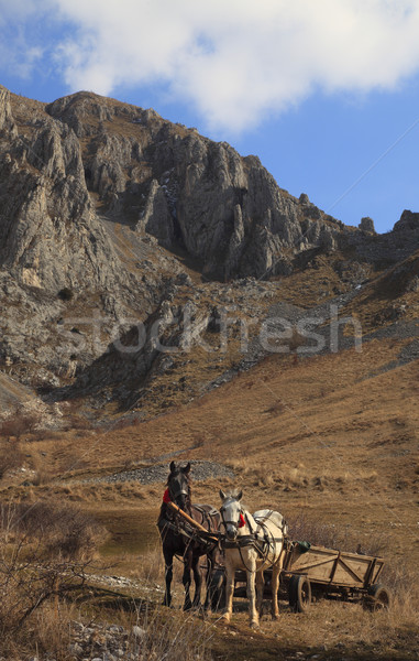 Trascau mountains Stock photo © RazvanPhotography