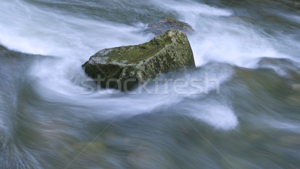 Water torrent Stock photo © RazvanPhotography