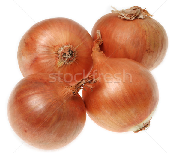 Onions Stock photo © RazvanPhotography