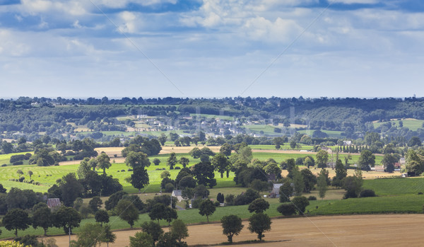 Landschaft Normandie grünen ländlichen nördlich Himmel Stock foto © RazvanPhotography