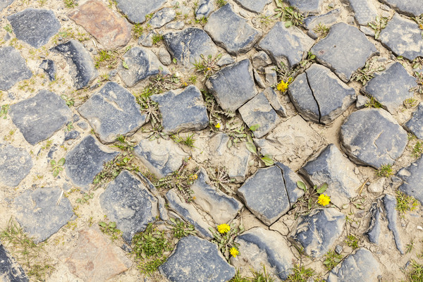 Kopfsteinpflaster Straße Detail nördlich Frankreich Straßen Stock foto © RazvanPhotography