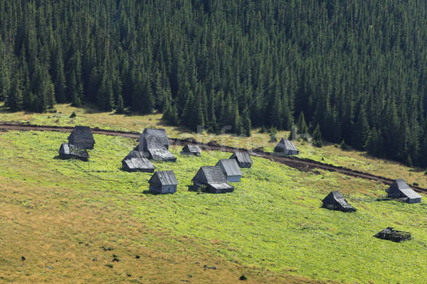 Traditionellen Berg Dorf Bild Häuser Holz Stock foto © RazvanPhotography
