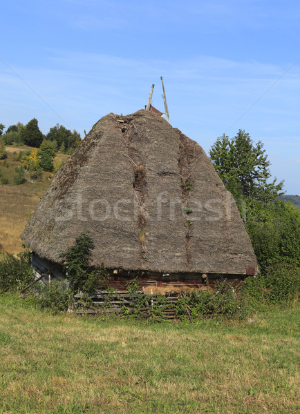 Stock photo: Traditional Transylvanian house