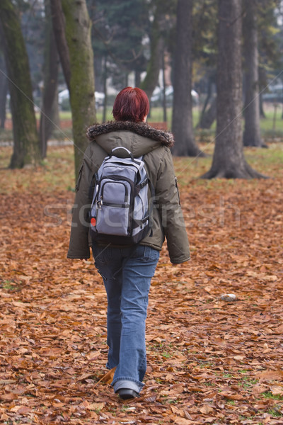 Stock photo: Autumn walk