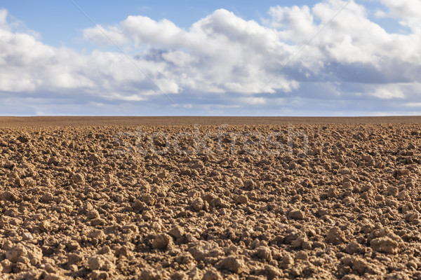Stock photo: Agricultural Abstract