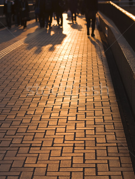 Business shadows Stock photo © RazvanPhotography