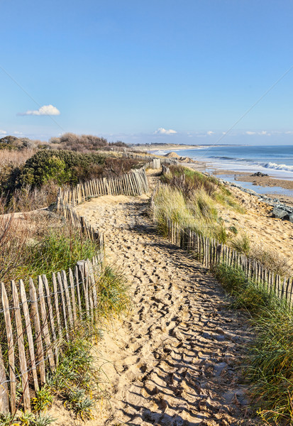 Footpath on the Atlantic Dune in Brittany Stock photo © RazvanPhotography