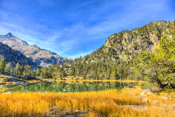 Wysoki wysokość jezioro piękna góry trawy Zdjęcia stock © RazvanPhotography