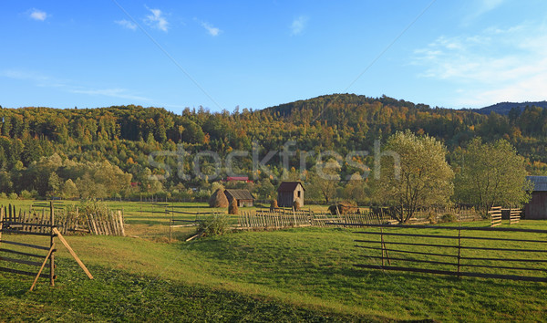 Peisaj rural lumina copaci frumuseţe albastru Imagine de stoc © RazvanPhotography