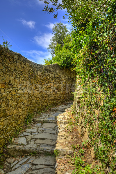 Footpath in Cinque Terre National Park Stock photo © RazvanPhotography