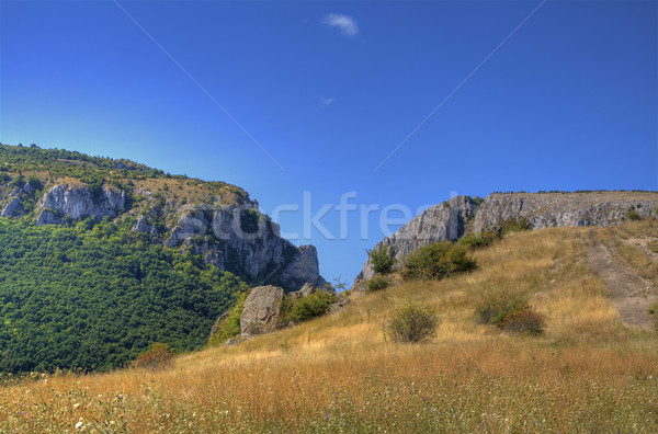 Turda's canyon Stock photo © RazvanPhotography