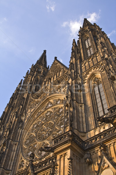 St.Vitus Cathedral-Prague Castle Stock photo © RazvanPhotography