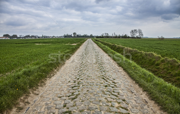 Stock photo: Cobbled Road