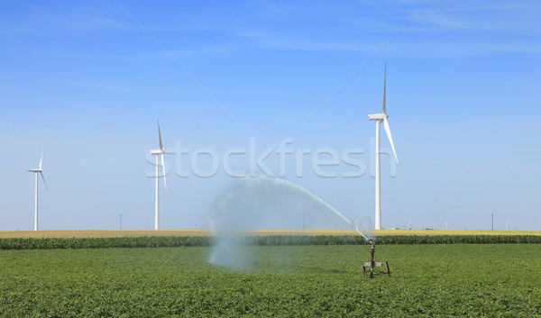 Modern mezőgazdaság kép szélturbinák víz locsoló Stock fotó © RazvanPhotography