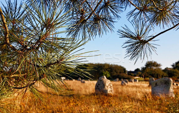 Landscape in Carnac Stock photo © RazvanPhotography