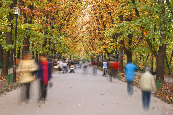 Autumn walk Stock photo © RazvanPhotography