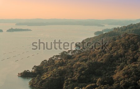 Puesta de sol paisaje brumoso uno mejor tres Foto stock © RazvanPhotography