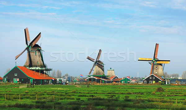 Holland tájkép hagyományos zöld utazás építészet Stock fotó © RazvanPhotography