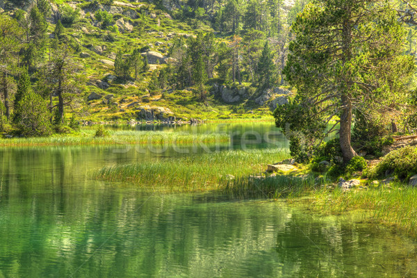 Vert lac belle élevé altitude montagnes Photo stock © RazvanPhotography