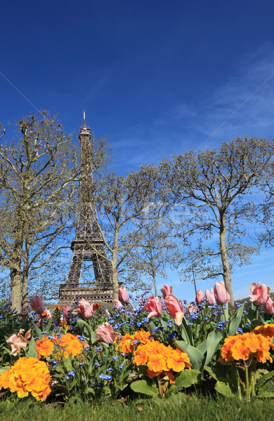 Spring in Paris Stock photo © RazvanPhotography