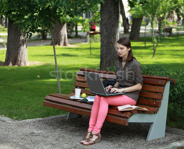 Młoda kobieta studia parku posiedzenia ławce pracy Zdjęcia stock © RazvanPhotography
