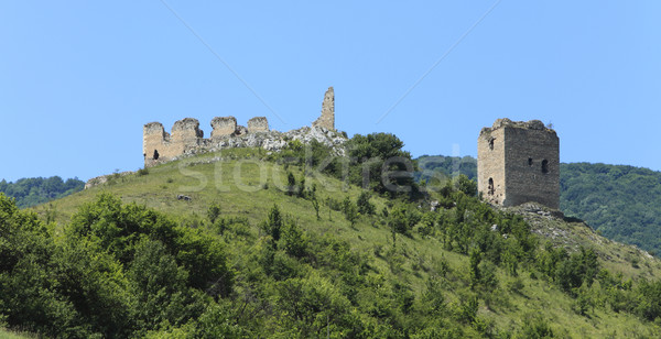 Coltesti fortress Stock photo © RazvanPhotography