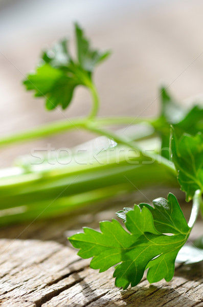 Verde orgánico perejil mesa de madera hoja cocina Foto stock © razvanphotos