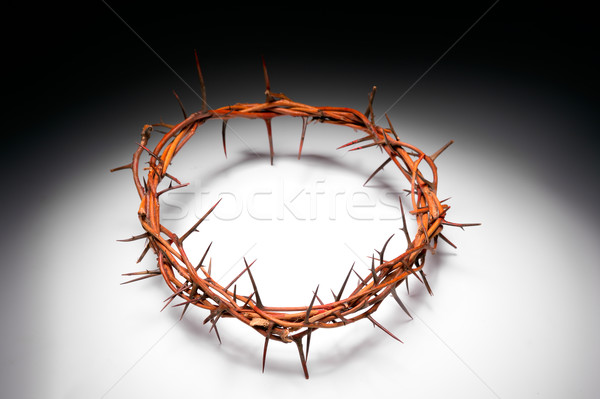 view of branches of thorns woven into a crown  Stock photo © razvanphotos