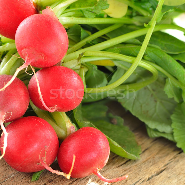Fraîches radis alimentaire été vert rouge Photo stock © razvanphotos