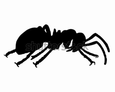 Karınca doğa işçi siyah siluet hayvan Stok fotoğraf © rbiedermann