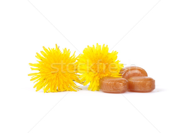 Cough drops with dandelion flowers Stock photo © rbiedermann