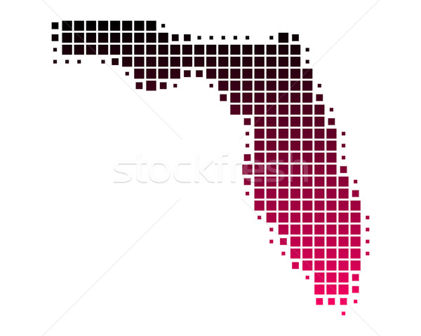 Mappa Florida pattern rosa america viola Foto d'archivio © rbiedermann