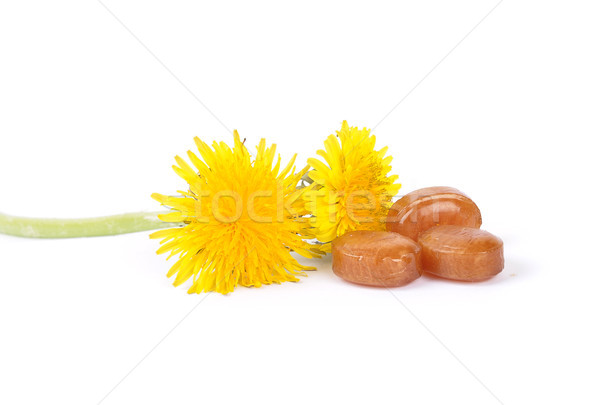Cough drops with dandelion flowers Stock photo © rbiedermann