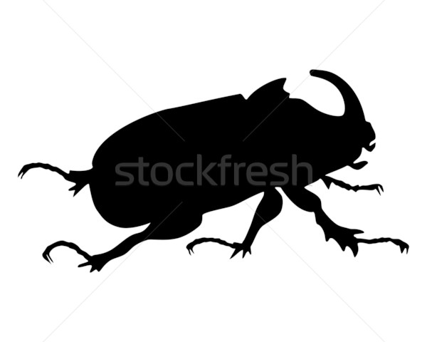 Rinocer gândac negru siluetă animal bug Imagine de stoc © rbiedermann