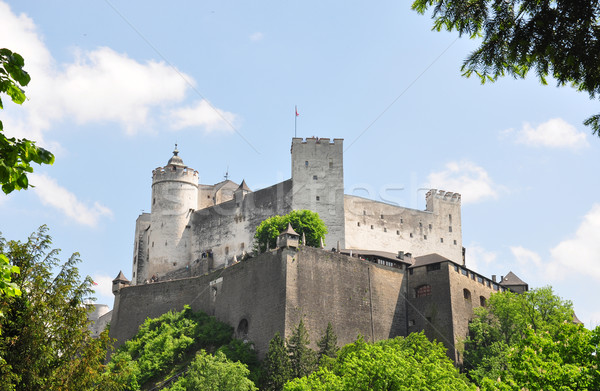 Festung Hohensalzburg in Salzburg Stock photo © rbiedermann