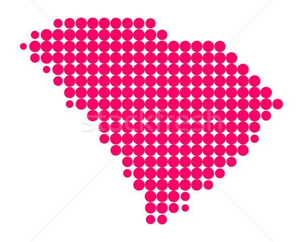 Kaart South Carolina patroon amerika paars cirkel Stockfoto © rbiedermann