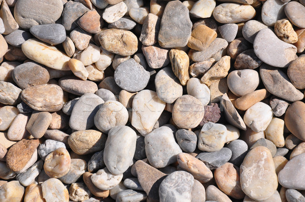 Shingle background Stock photo © rbiedermann