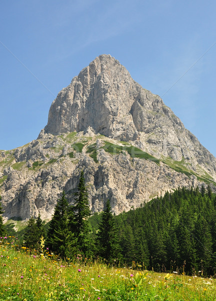 Sparafeld, Austria Stock photo © rbiedermann