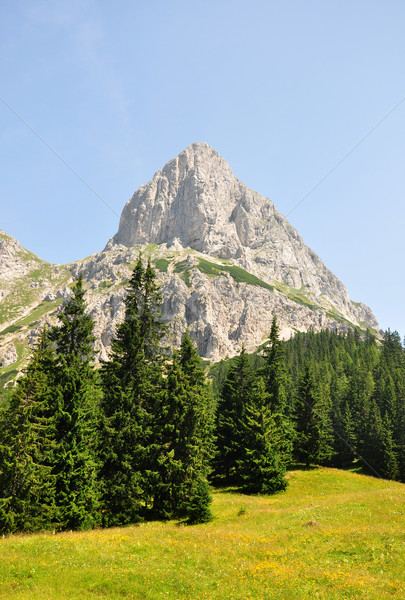 Sparafeld, Austria Stock photo © rbiedermann