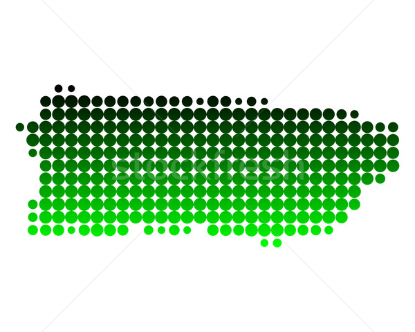 Térkép Puerto Rico zöld sziget minta kör Stock fotó © rbiedermann