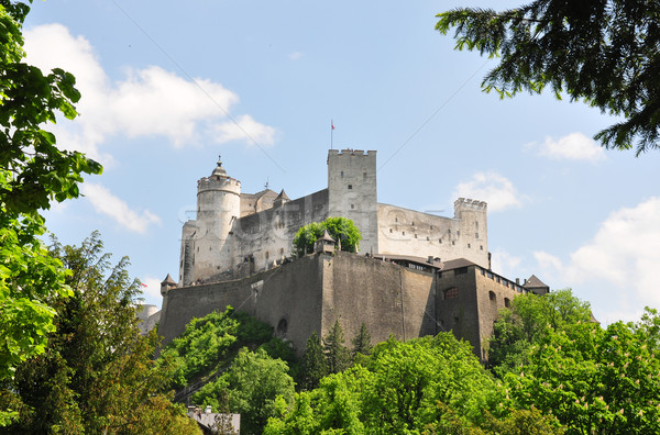 Festung Hohensalzburg in Salzburg Stock photo © rbiedermann