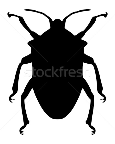 True bug silhouette Stock photo © rbiedermann