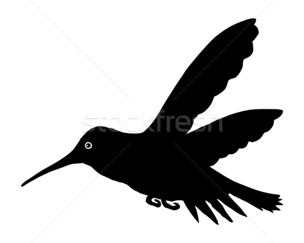 Kolibri Vogel Silhouette Flügel Flügel Flug Stock foto © rbiedermann