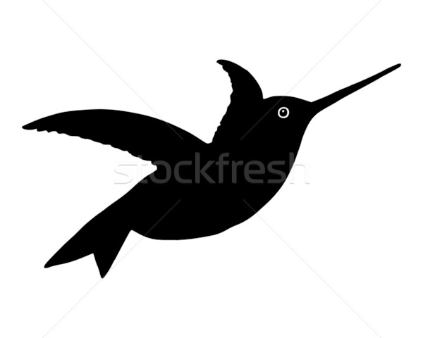 Kolibrie vogel silhouet vleugels vleugel vlucht Stockfoto © rbiedermann