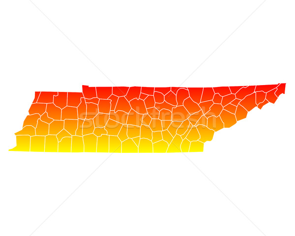 Pokaż USA wektora odizolowany ilustracja geografia Zdjęcia stock © rbiedermann