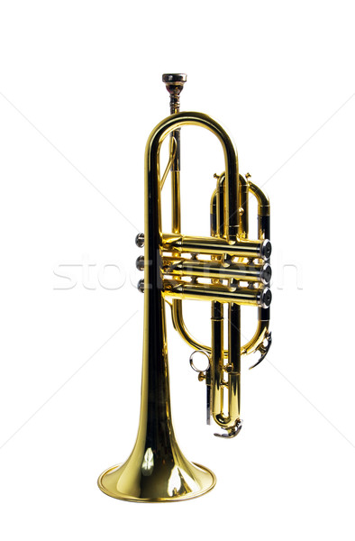 Messing Trompete ruhend Glocke isoliert weiß Stock foto © rcarner
