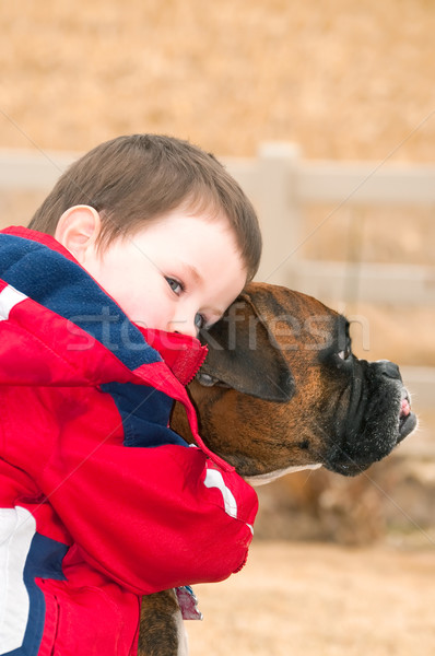 Na zawsze miłości mały chłopca najlepszy przyjaciel Zdjęcia stock © rcarner